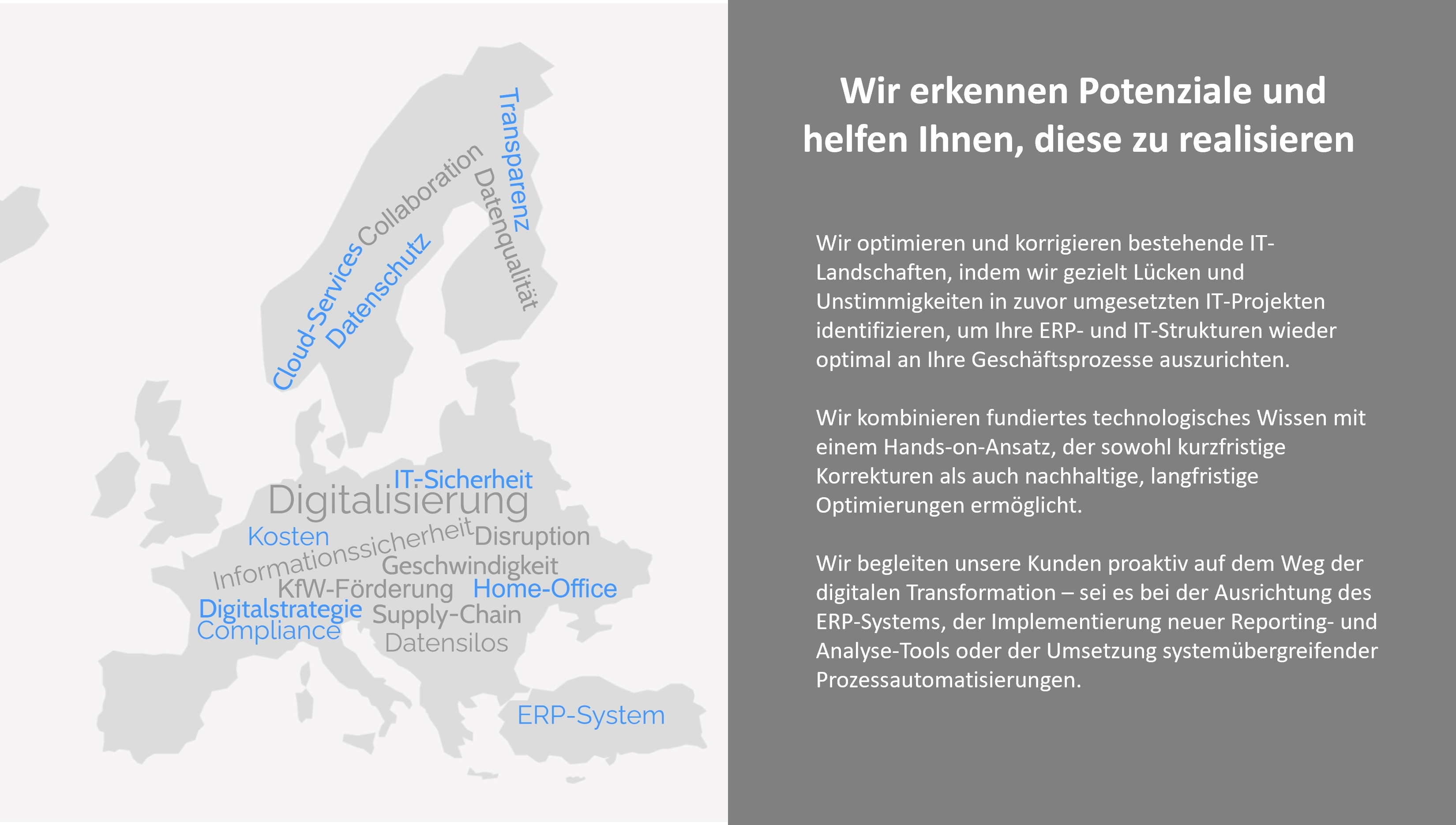 Darstellung der angebotenen IT Leistungen